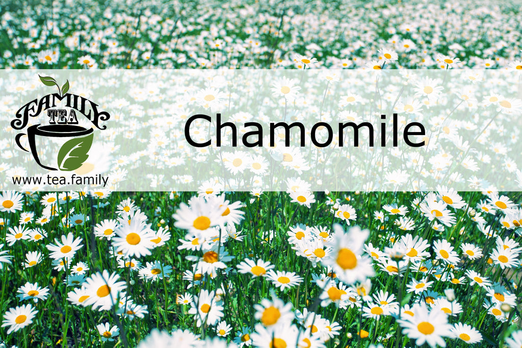 Chamomile - 8 Benefits of Chamomile Tea